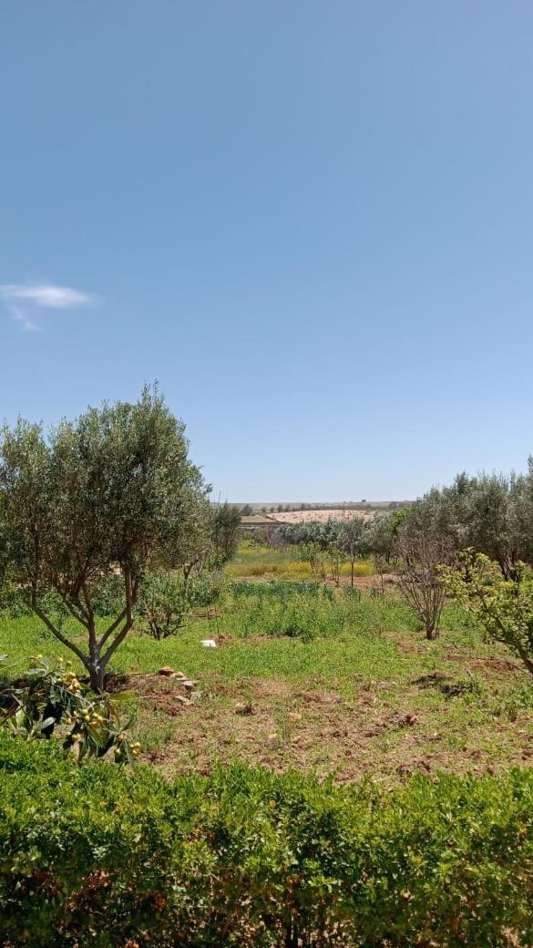 Villa Ferme De Rayan Safi Esterno foto